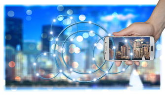 乐鱼体育平台app下载-中国篮球职业俱乐部财务风险管理策略研究，篮球俱乐部运营情况